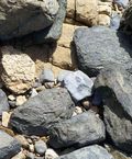 Beach_rocks