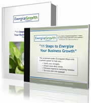 11 Steps to Energize Your Business Growth