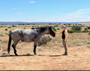 Lisa Nirell Speaker Reel Video